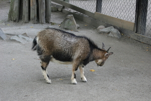 IMG_2464.JPG