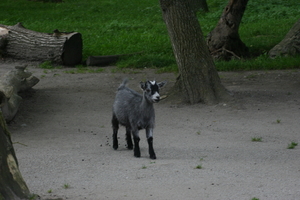 IMG_2465.JPG
