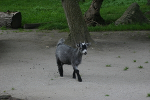 IMG_2466.JPG