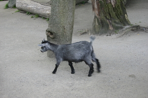 IMG_2469.JPG