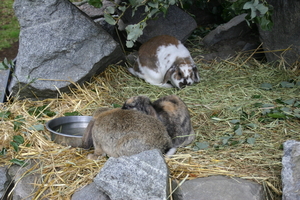 IMG_2472.JPG