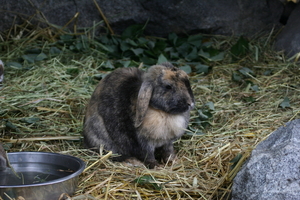 IMG_2474.JPG