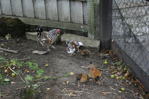 IMG_2476.JPG