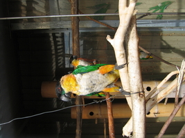 IMG_7072.JPG
