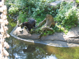 IMG_7084.JPG