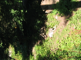 IMG_7086.JPG