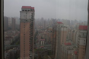 IMG_8848.jpg