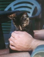 Kanarieoarna_1998-Kattunge.jpg