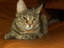 PICT0001.JPG