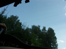 PICT0006.JPG