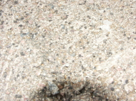 PICT0011.JPG