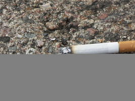 PICT0012.JPG