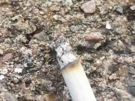 PICT0013.JPG