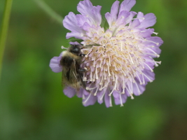 PICT0029.JPG