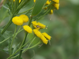 PICT0030.JPG
