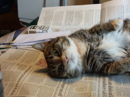 PICT0040.JPG