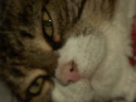 PICT0046.JPG