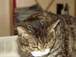 PICT0048.JPG