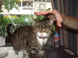 PICT0049.JPG