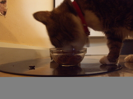 PICT0053.JPG