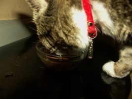 PICT0055.JPG