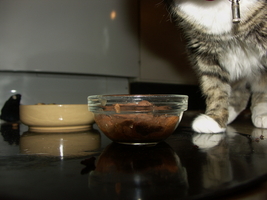 PICT0057.JPG