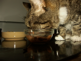 PICT0058.JPG