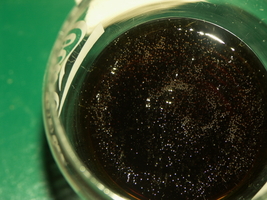 PICT0059.JPG