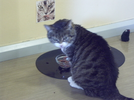 PICT0060.JPG