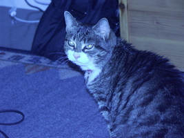 PICT0062.JPG