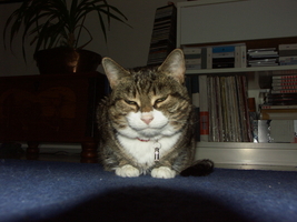 PICT0065.JPG