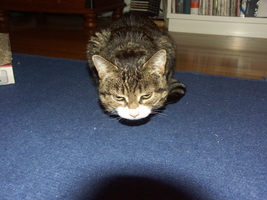 PICT0066.JPG