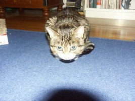 PICT0067.JPG