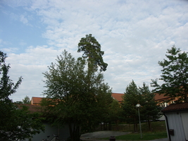 PICT0074.JPG