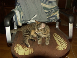 PICT0075.JPG