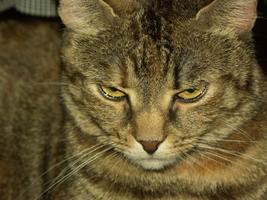 PICT0076.JPG