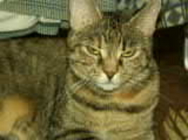 PICT0077.THM