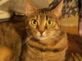 PICT0078.THM
