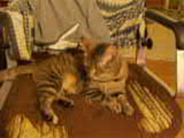 PICT0079.THM