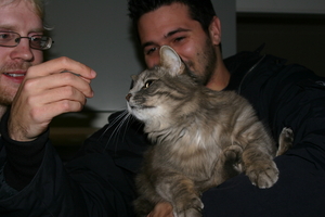 Picture_012.jpg
