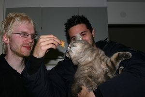Picture_013.jpg