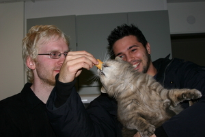Picture_015.jpg