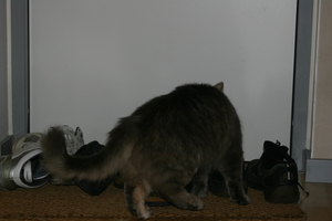 Picture_072.jpg