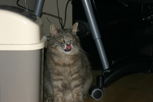 Picture_075.jpg