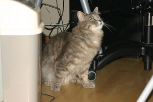Picture_076.jpg