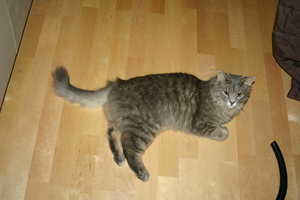 Picture_077.jpg