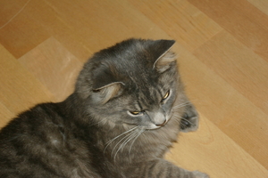 Picture_078.jpg