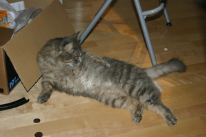 Picture_080.jpg