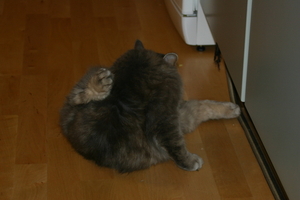 Picture_082.jpg