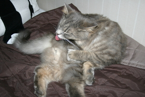 Picture_085.jpg